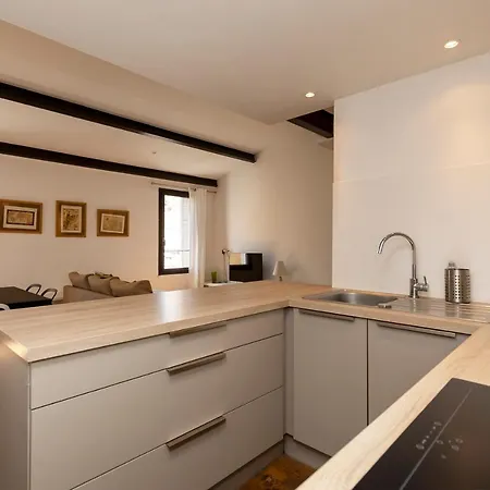 Lägenhet Du Roi De Rome - Hypercentre