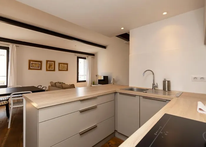 Apartmán Du Roi De Rome - Hypercentre